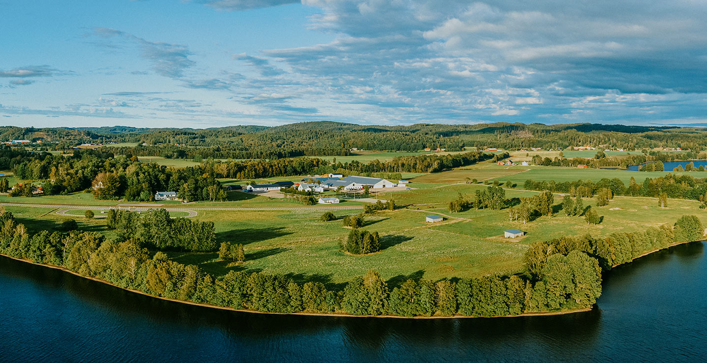 UPH Extended - UPH Academy