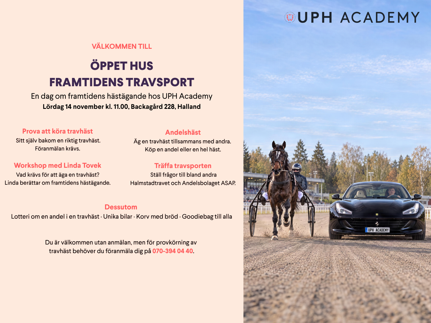 Öppet hus framtidens travsport, lördag 14 november på UPH Academy